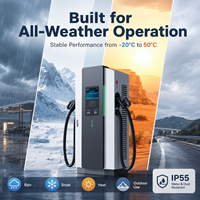 Borne de recharge rapide DC double pistolet 40-80 kW OCPP IP55 pour véhicules électriques, station de charge au sol pour parkings publics, petites flottes et projets de vente au détail