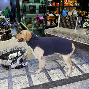 Hete Aanbieding Luxe Ecologische Hoog Elastische Modal Hondenjas Comfortabele Hoge Kraag Verstelbaar Ademt Vrij Lente Zomer Winter - Product Image 3