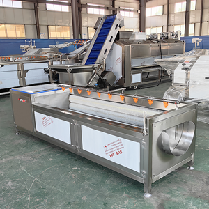 Macchine per il Lavaggio della Frutta, Lavatrice per Patate, Pelatrice per Zenzero, Macchina per Lavare e Pelare Patate - Product Image 6