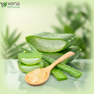 เจลว่านหางจระเข้บริสุทธิ์ 100% ออร์แกนิคธรรมชาติ สำหรับผิวหน้า ขายส่งจำนวนมาก รับผลิตแบรนด์ส่วนตัว - Product Image 1