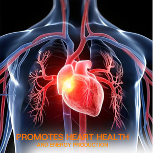 Cápsulas de Complejo Triple de Magnesio con Ácido Glicínico, Malico y Cítrico, Favorece la Relajación y Mejora el Sueño <span class=keywords><strong>en</strong></span> Adultos - Product Image 4