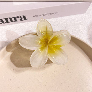Pinza <span class=keywords><strong>de</strong></span> Pelo Grande <span class=keywords><strong>de</strong></span> Plástico Estilo Europeo Americano con Diseño <span class=keywords><strong>de</strong></span> Flor <span class=keywords><strong>de</strong></span> Plumeria y Bauhinia <span class=keywords><strong>de</strong></span> 8CM para Mujer, Fresca y Dulce, para Vacaciones - Product Image 6