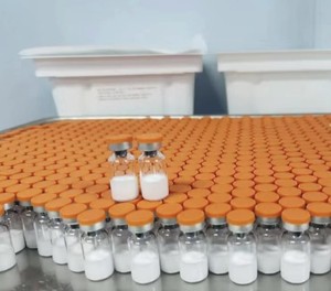 Nhà máy trực tiếp dilivery độ tinh khiết cao NAD + nicotinamide ndenine dinucleotide mg - Product Image 5