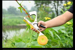 เครื่องมือรัดกิ่งไม้สำหรับงานสวน 10,000 ชิ้น ใช้สำหรับรัดเทปต่อกิ่ง ตัดแต่งกิ่งไม้ ทำจากวัสดุแบบตะปู - Product Image 6