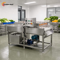 Hoge kwaliteit fruit- en groentewasmachine industriële reinigingsapparatuur