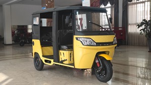 Nouveau tricycle cargo à moteur à essence puissant et fiable togo 150cc/200cc, <span class=keywords><strong>moto</strong></span> cargo Bajaj, trike van - Product Image 6