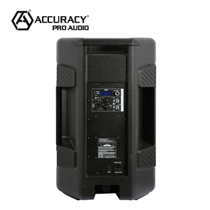 Precision Pro Audio CBE15D3 15 pouces, haut-parleur de fête karaoké portable actif, boîte de haut-parleurs amplificateurs alimentés professionnels - Product Image 3