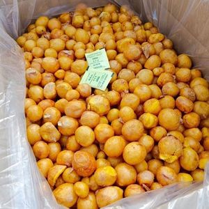 Golosinas Orgánicas <span class=keywords><strong>para</strong></span> Mascotas, Liofilizadas, Altas en Proteínas, Salud <span class=keywords><strong>Gastrointestinal</strong></span>, Marca Personalizada, <span class=keywords><strong>Comida</strong></span> <span class=keywords><strong>para</strong></span> <span class=keywords><strong>Perros</strong></span> y Gatos, Golosina de Pollo en Lata - Product Image 5