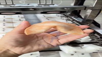 Machine de fabrication de biscuits porte-bonheur personnalisée, ligne de production de biscuits Funny Fortune pour équipement de boulangerie