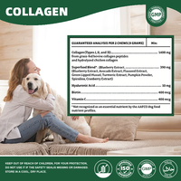 Friandises pour chiens OEM Multi Collagène, 120 comprimés en bouteille, pour une pelage sain et brillant, aide holistique à la croissance des chiots, friandises moelleuses savoureuses riches en protéines