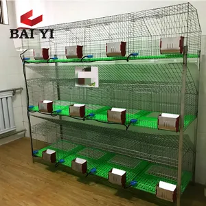 Large Scale Rabbit Farming Cage