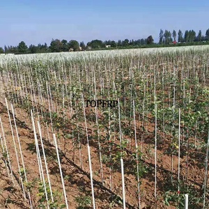 <b>Gardening</b> Support Stakes Fiberglass Rods <b>for</b> Plant Supports - Product Image 6
