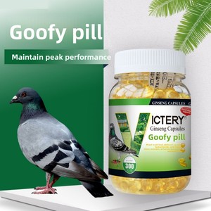 Píldoras Gaofei para <span class=keywords><strong>Palomas</strong></span> de Competición, Medicina Natural para el Cuidado de la Salud, Mejora la Velocidad de Competición y el Acondicionamiento Físico - Product Image 1