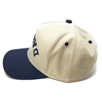 Casquettes de baseball bon marché personnalisées, élégantes, brodées de logo, en coton de haute qualité, casquettes Hip Hop avec étiquette tissée