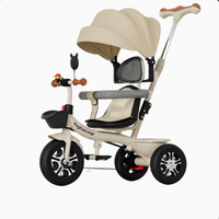Tricycle pour enfants à cadre en acier, avec barre de poussée, pare-soleil, vitesse unique, fourche à suspension, frein à pédale, roues de 6 pouces (les couleurs peuvent varier)