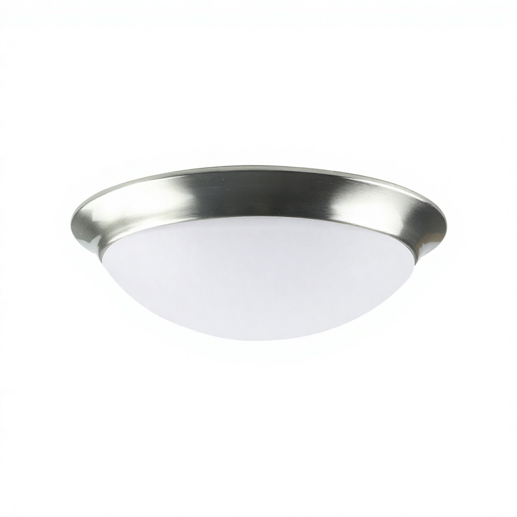Wobit Iron Hot Plating Black LED Surface Mounted Ceiling Lamp 11 Inch 2700K-5000K Five Color Temperature Indoor Lamp
