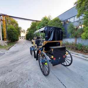 Carroza Eléctrica Negra de Alta Calidad para Turismo, Transporte Especial, Fabricante en Venta, Ofrecemos Depósito Personalizado - Product Image 3