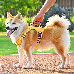 Harnais de poitrine pour chien en maille de haute qualité, réglable, anti-traction, pour chiens de petite et moyenne taille, par Best Pet Supplies - Product Image 2