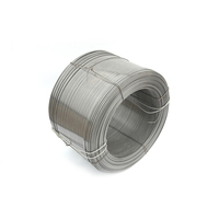 Großhandel schweres Zelt Verwenden Sie Flat Spring Steel Flat Spring Wire Pop Up