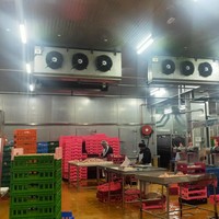 Chambre froide de plain-pied pour aliments, fruits de mer et viande, congélateur profond, chambre froide de stockage de viande, fournie directement par l'usine