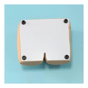 Modèle de soins infirmiers Ulcère de pression pour personnes âgées Modèle d'<span class=keywords><strong>escarre</strong></span> de science médicale pour les patients - Product Image 4