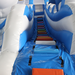 Tùy Chỉnh Trẻ Em Inflatable Trượt Nước Inflatable Cho Hồ Bơi Giá Rẻ Inflatable PVC Trượt Với Hình Dạng Con Cá Mập - Product Image 6