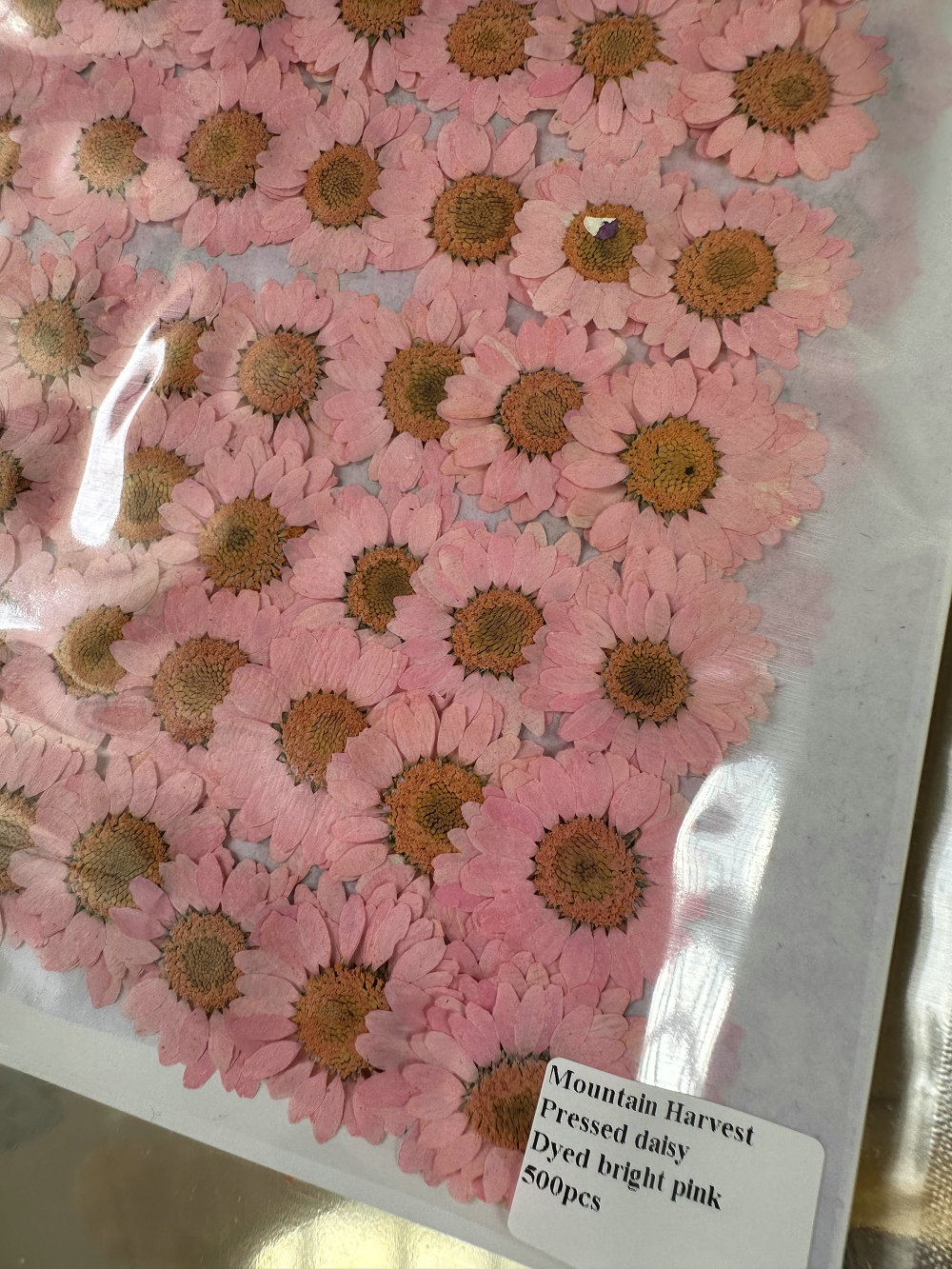 Tinto di rosa brillante 12 pezzi/borsa