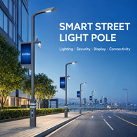 Poste de Alumbrado Público Inteligente con Cámara PTZ HD, Pantalla LED, Carga para Vehículos Eléctricos, Infraestructura Inteligente Personalizada para Ciudades