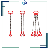 Chaînes de levage personnalisées 5T à deux brins, 3M, G80, 3x4x120, avec maillon maître et double crochet à œil, certifiées CE