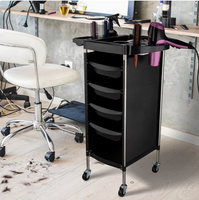 Chariot de coiffure professionnel transfrontalier en plastique étanche pour outils de permanente et de coloration, conception réutilisable, grande capacité de rangement pour les cheveux