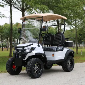 New Exclusive Factory 2-seater Tourist Bus Club Car Electric Golf Cart Hunting Car