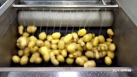 Machine de fabrication de frites surgelées 100-500kg Ligne de production semi-automatique de chips de pommes de terre