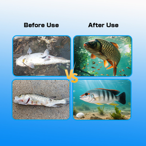 Stimulant de croissance des poissons Additif alimentaire pour poissons d'aquaculture Multivitamines Accélérer la croissance et renforcer l'immunité - Product Image 6