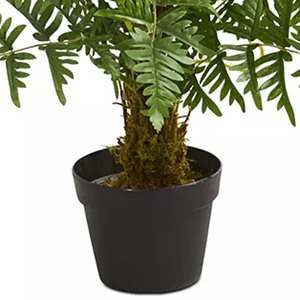 Cây dương xỉ nhân tạo trong chậu nhựa đen-tán lá xanh với những chiếc lá dài, nĩa trên nền trắng đặc - Product Image 4