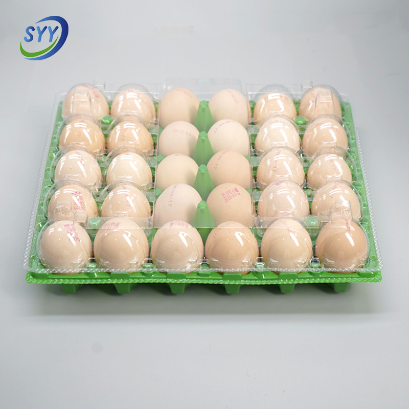 30 Cell red bottom transparent cover egg tray