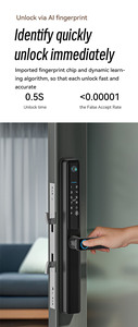 Serrure extérieure étanche Tuya coulissante numérique à <span class=keywords><strong>empreinte</strong></span> <span class=keywords><strong>digitale</strong></span> pour <span class=keywords><strong>porte</strong></span> de maison <span class=keywords><strong>avec</strong></span> caméra - Product Image 4