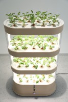 Système de culture hydroponique pour plantes de jardin domestique automatique Éclairage LED Jardinière intelligente Pots de fleurs Jardin d'herbes d'intérieur hydroponique