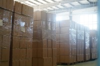 Capsules probiotiques féline canine Gut Supplément aide à la digestion Fabriqué en usine