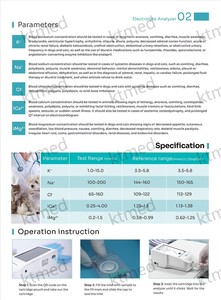 건식 전기화학 전해질 분석기, 의료용 혈액 가스 분석기, 스마트 미니 전해질 K Na Cl Ca 테스트 분석기 - Product Image 4