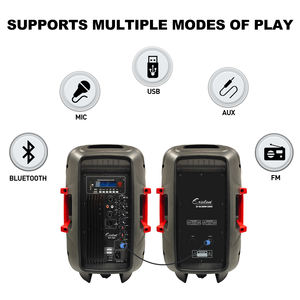 Enceinte active + passive HYANKE EX-10A 10 pouces, 100W RMS, avec USB et radio <span class=keywords><strong>FM</strong></span> - Product Image 3