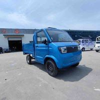 Camions électriques compacts chinois en promotion, camions électriques 4x4, mini pick-up