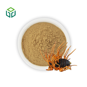 Estratto Puro Naturale di <span class=keywords><strong>Cordyceps</strong></span> Militaris in Polvere, 50% Polisaccaridi, Grado Alimentare, Certificato ISO, Contenitore in Plastica, Barattolo in Latta - Product Image 1
