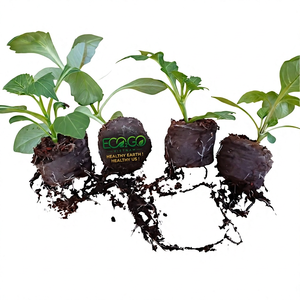 Pellets de fibre de coco pour semis, substrat de culture biodégradable pour plantes, 100% naturel, écologique, prêt à l'emploi, Eco2go - Product Image 1