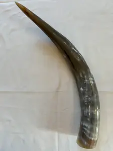 Paire de corne de buffle exquise sculptée écologique longue texture naturelle polie décor traditionnel artisanat d'animaux Souvenir nautique - Product Image 4