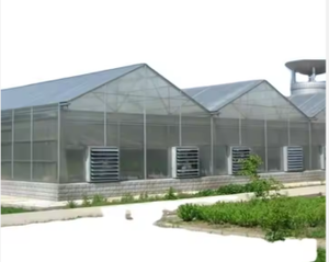 Tùy Chỉnh Multispan Lớn Thông Minh Nông Nghiệp Nhà Kính Với Thủy Canh Hệ Thống Cho Hiện Đại Hữu Cơ Nông Nghiệp - Product Image 4