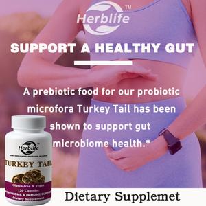 OEM Vente chaude - Personnalisable - Capsules de queue de dinde - Soutien à la santé digestive et à la réponse immunitaire - Complément alimentaire - 120 capsules - Product Image 2