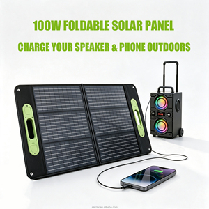 Chargeur solaire monocristallin pliable 100W, panneau solaire à haute efficacité 23%, couleur personnalisable, sortie élevée pour une utilisation en extérieur - Product Image 1