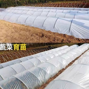 <span class=keywords><strong>Bâche</strong></span> transparente en Lona à prix avantageux, <span class=keywords><strong>200</strong></span> <span class=keywords><strong>microns</strong></span>, polyéthylène renforcé - Product Image 3