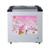 Congélateur coffre électrique portable en acier inoxydable avec compresseur et porte coulissante pour crème glacée 156L pour usage domestique et commercial