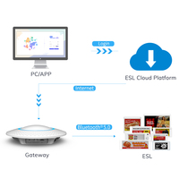 Minew - Kit de Demostración de Etiquetas Electrónicas para Estantes (ESL) con Tecnología Bluetooth de Bajo Consumo 5.0, Protocolo de Encriptación AES-128, 2.4 GHz, Sistema de Plataforma en la Nube